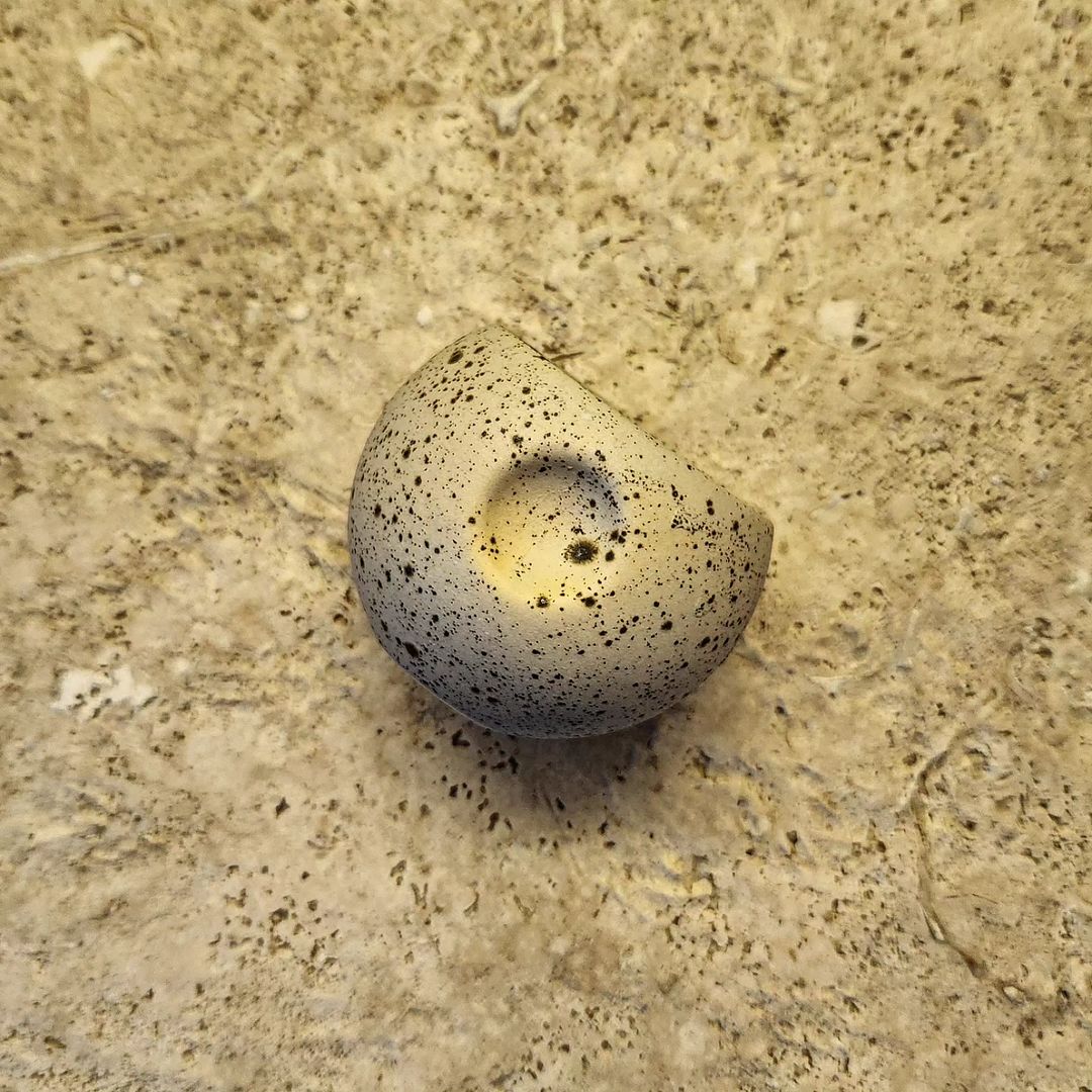 Mezcaleros Tala Pareja/ Tala Shots Couple